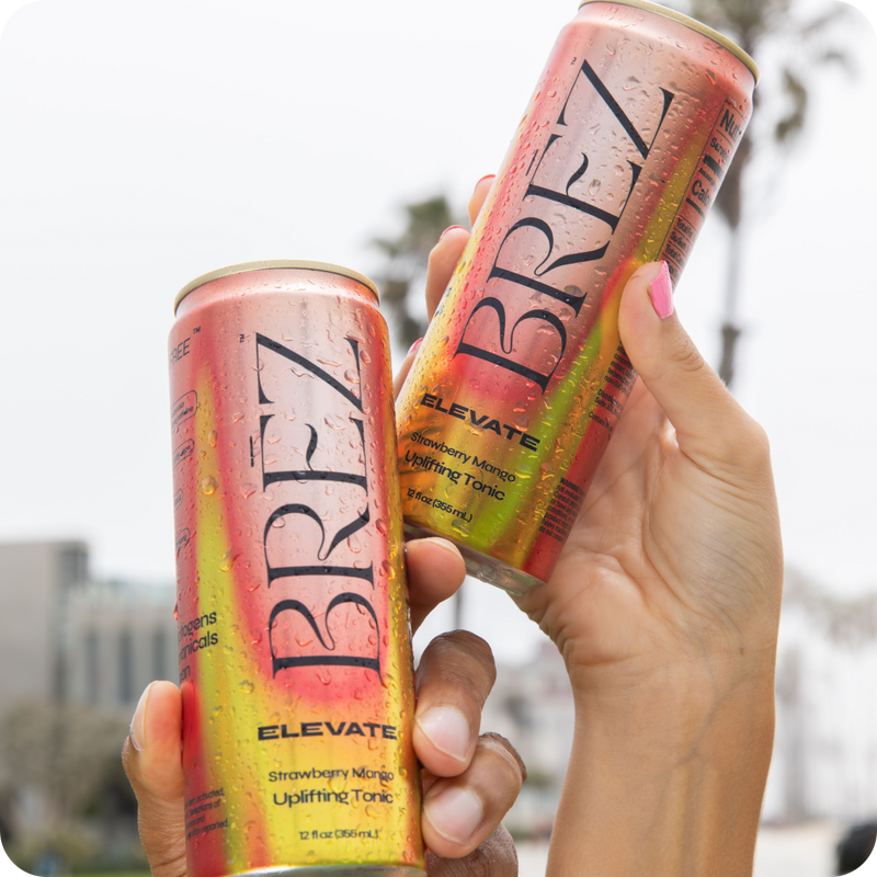 Balanced for Everyday Enjoyment